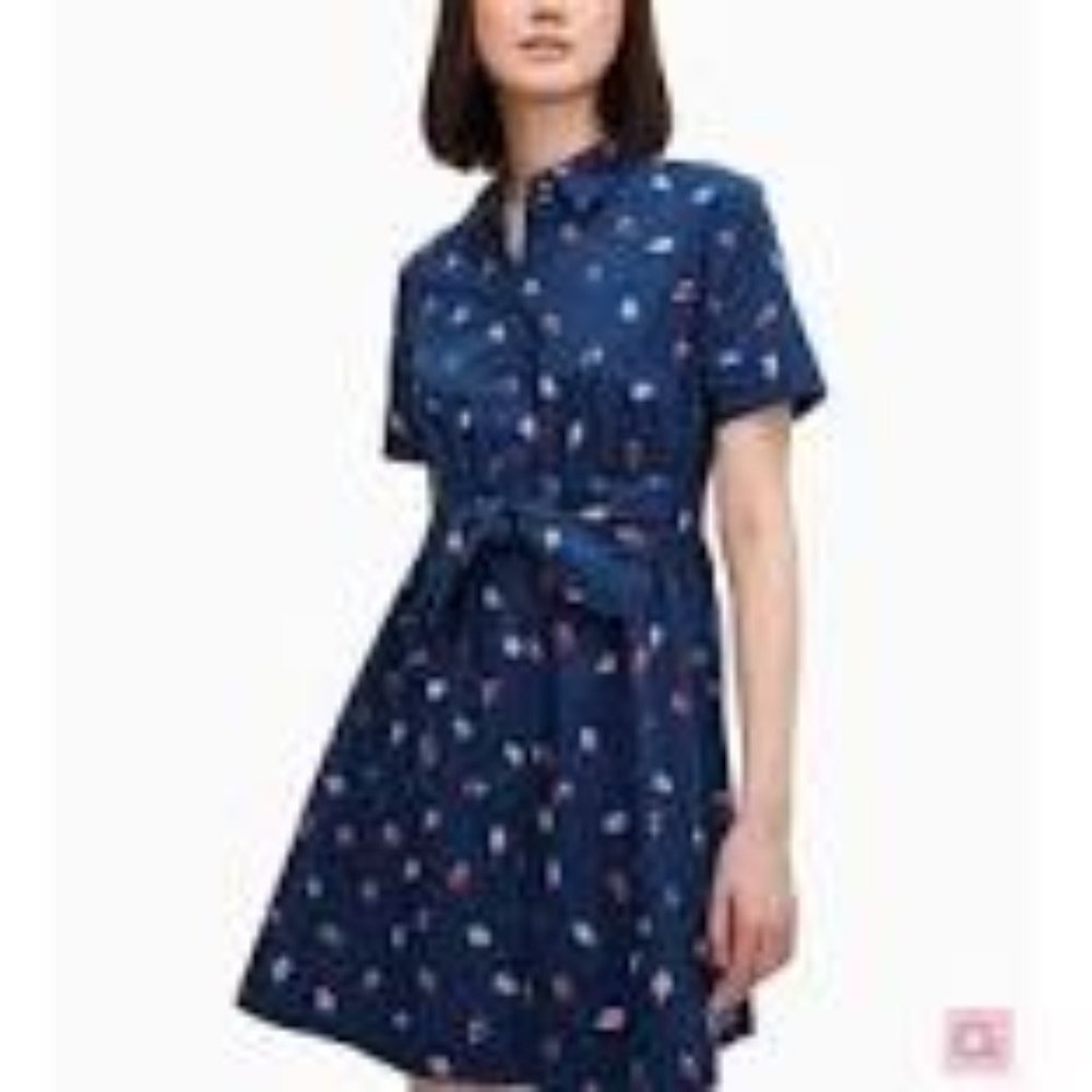 Kate Spade Strawberry Dress
